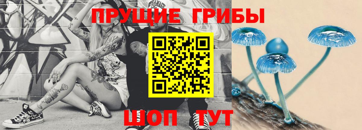 Нововоронеж  Галлюциногенные грибы ЛСД  Вход с VPN  Псилоцибиновые грибы мухоморы 