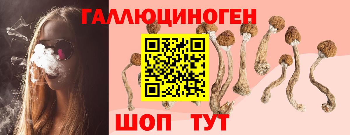 Кокаин  Нововоронеж  Мефедрон   Гашиш  Бошки Шишки  Вход с VPN  A PVP СК кристаллы 